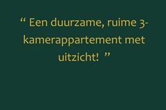 Foto met quote presentatie woning.jpg